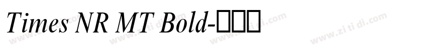 Times NR MT Bold字体转换